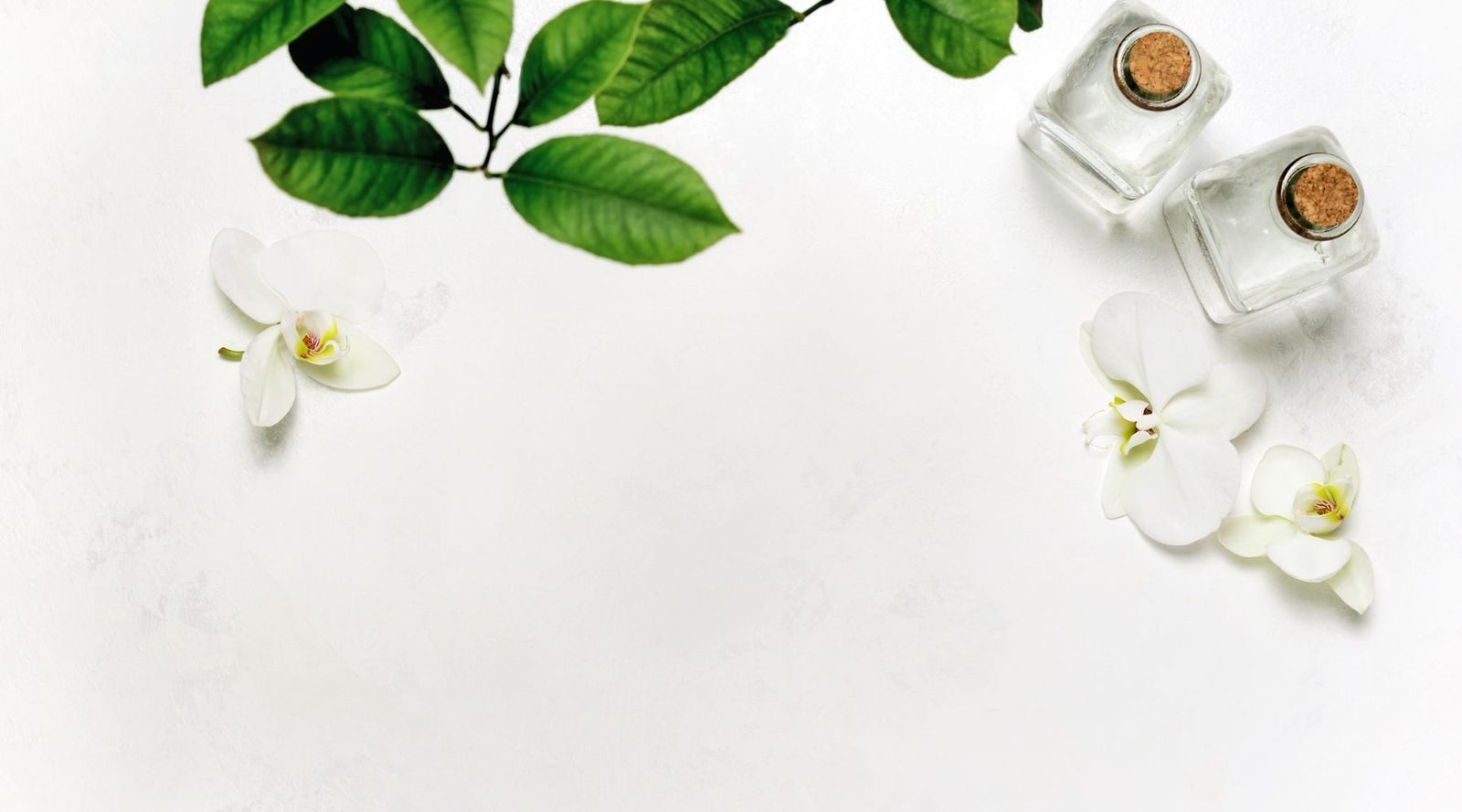 Clean Beauty Essentials