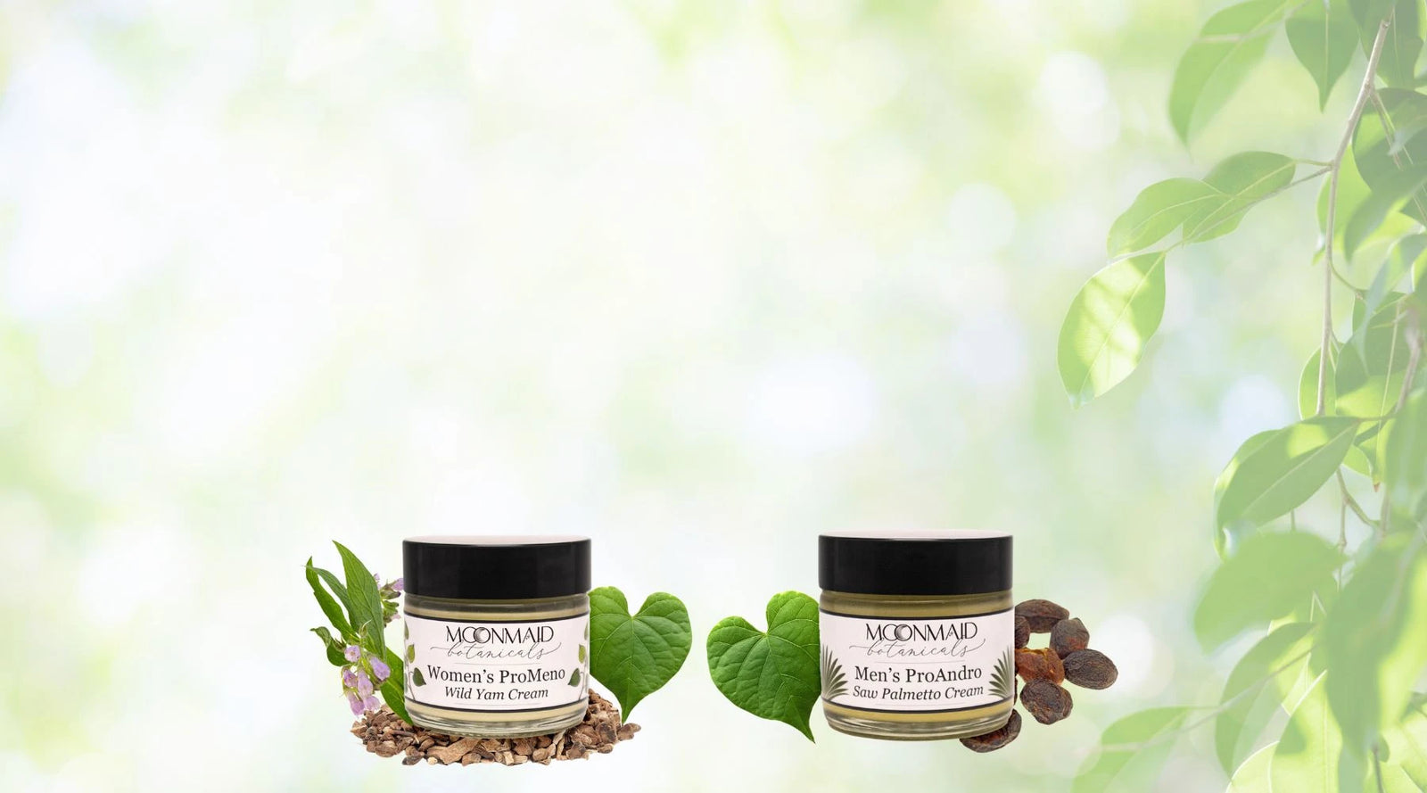 Clean Beauty Body Care