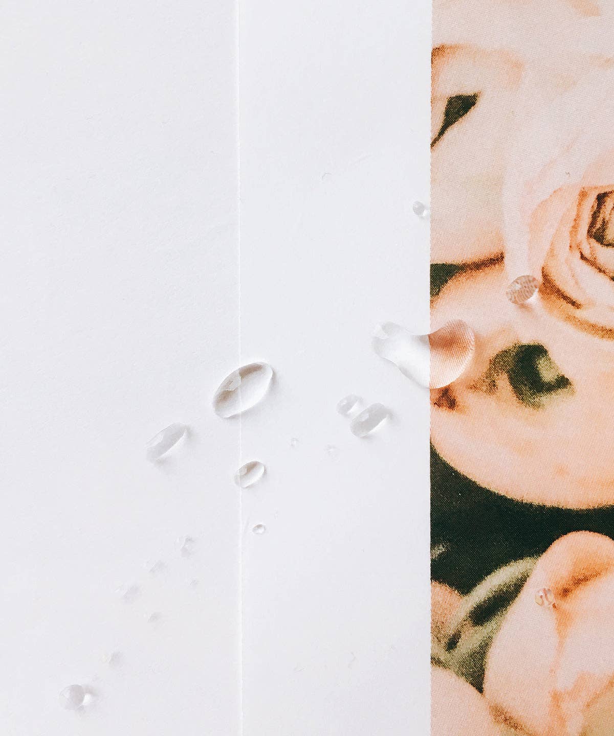 Allantoin Serum Water