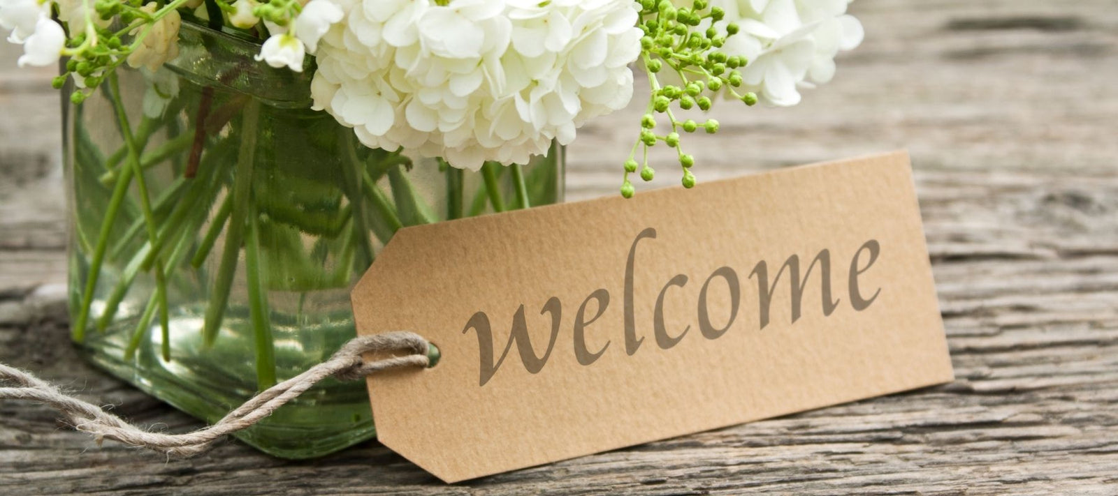 Safe Serene Space Canada Contact Us