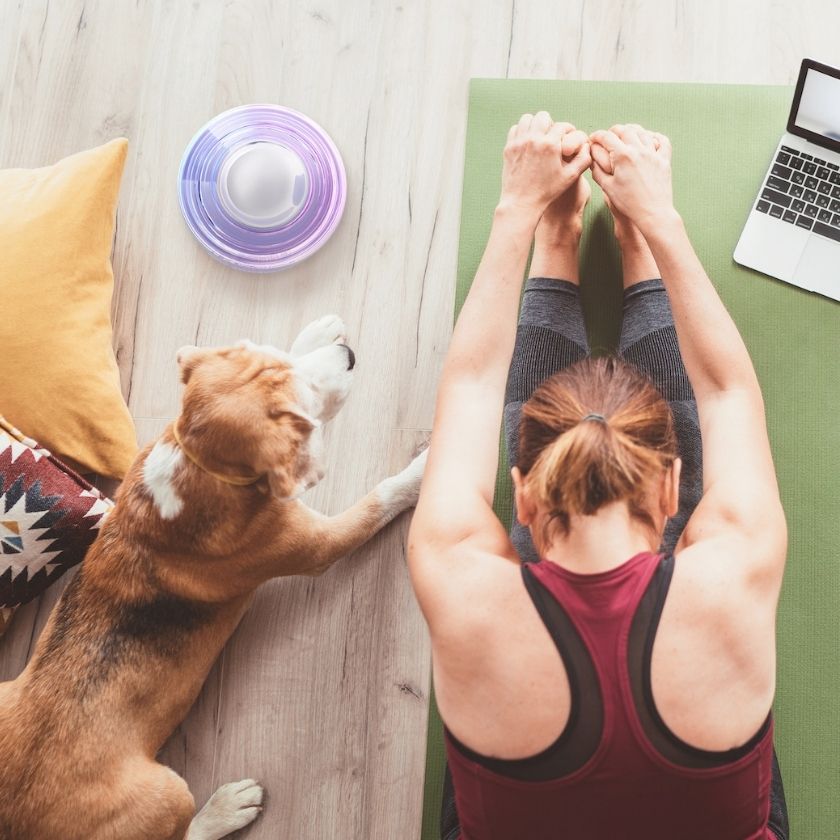 Wellness | Safe Serene Space Canada