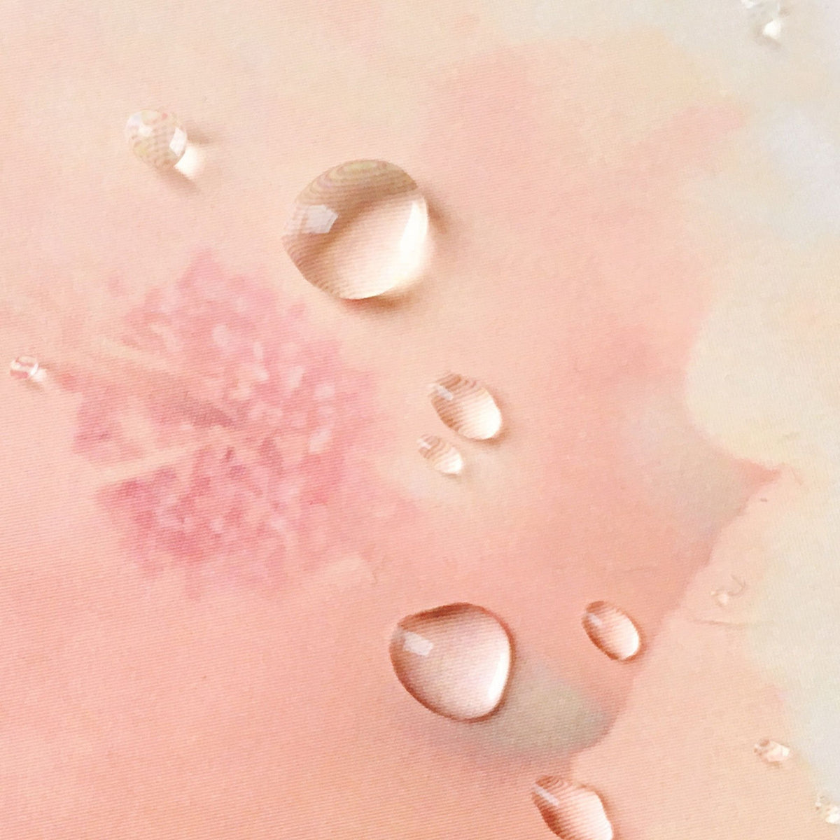 TAHNYC Amino Sugars Water Serum Texture | Canada