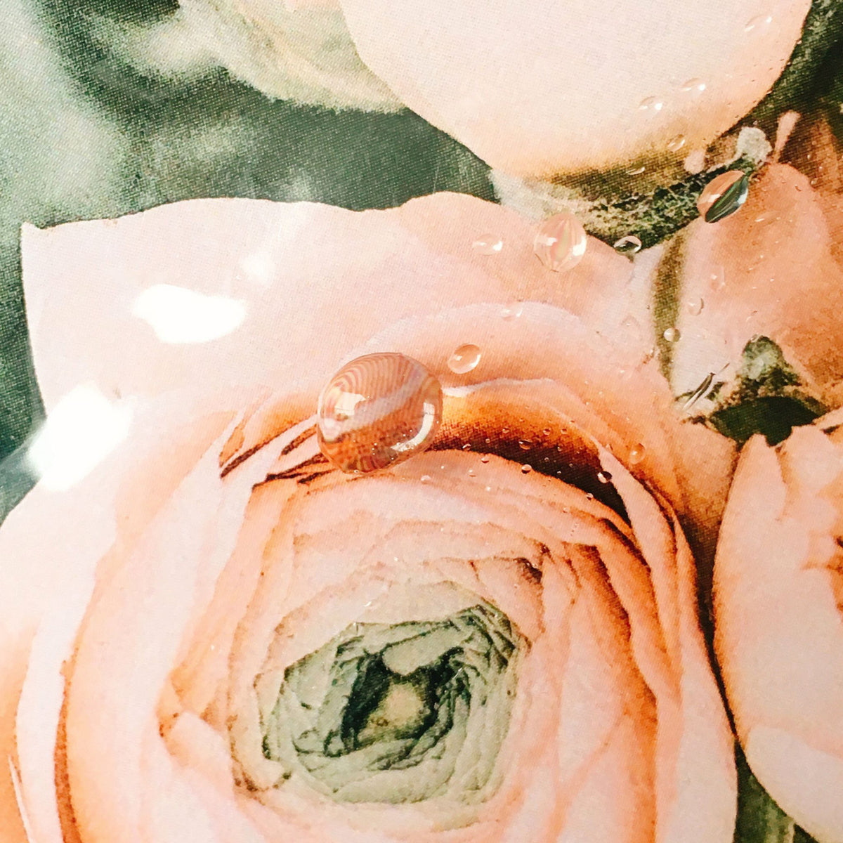 Tahnyc Complex B5 Concentrated Repair Serum Dew-like Texture | Canada